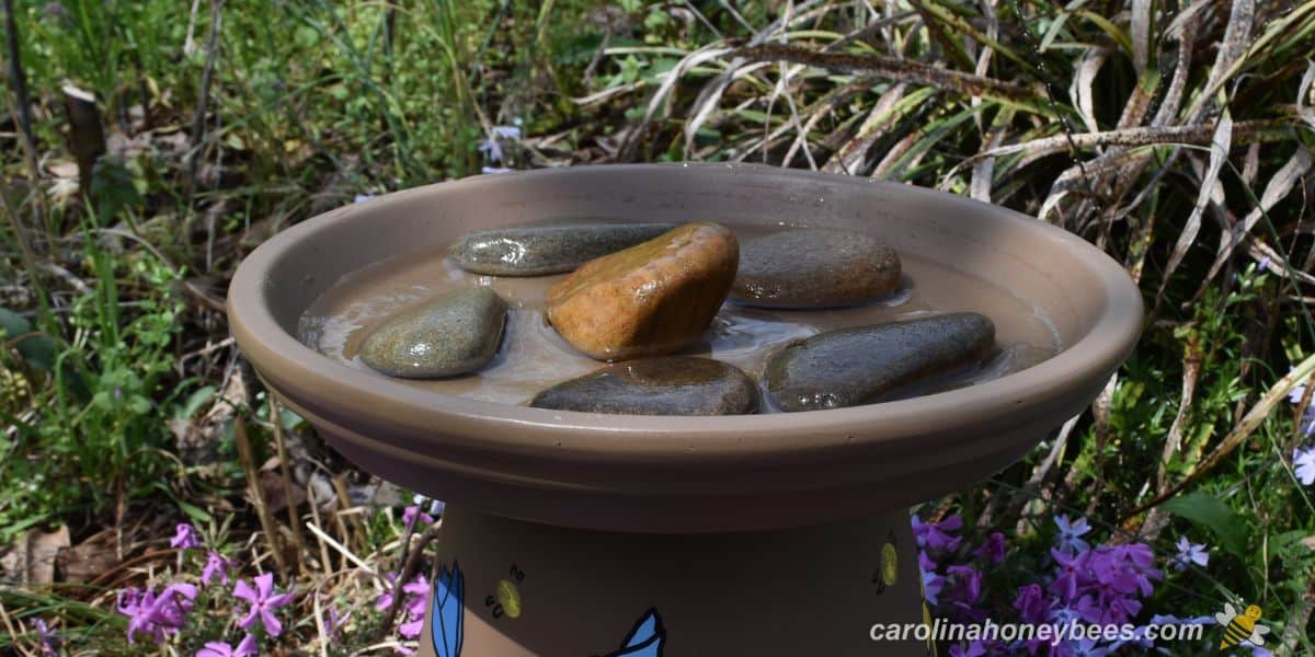 Large rocks placed in clay pot bee water station for safety.