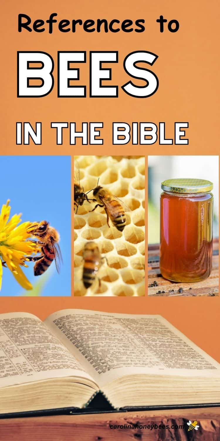 Bees in the BibleLessons in Humility & Service Carolina Honeybees