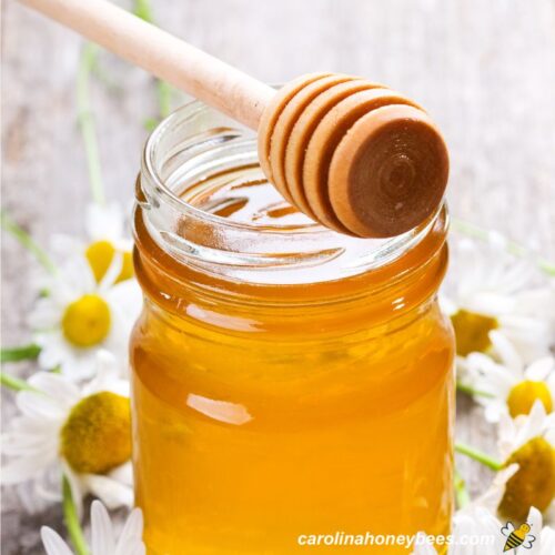 How to Store Honey Preserving Flavor and Nutritional Benefits