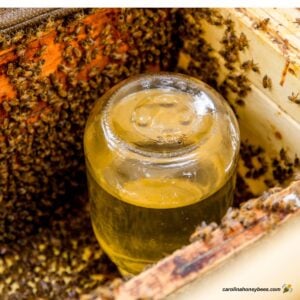 Jar of syrup in beehive for fall bee feeding.