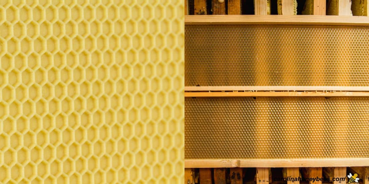 Two types of foundation for beehives plastic and beeswax.