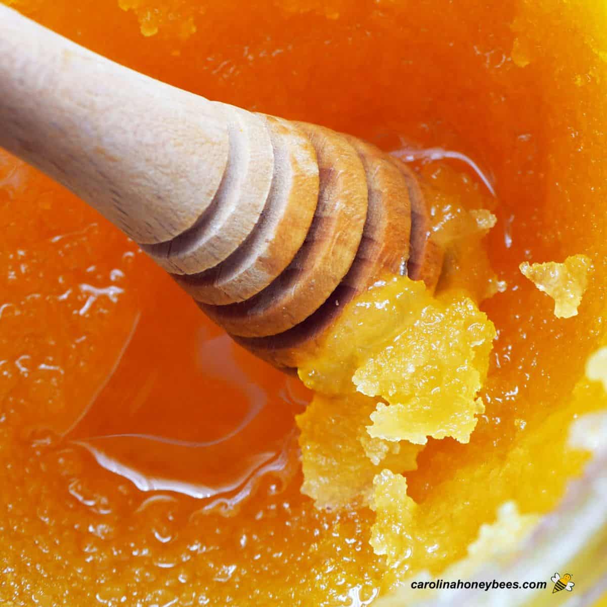 Why Does Honey Crystallize? The Science Behind It Carolina Honeybees