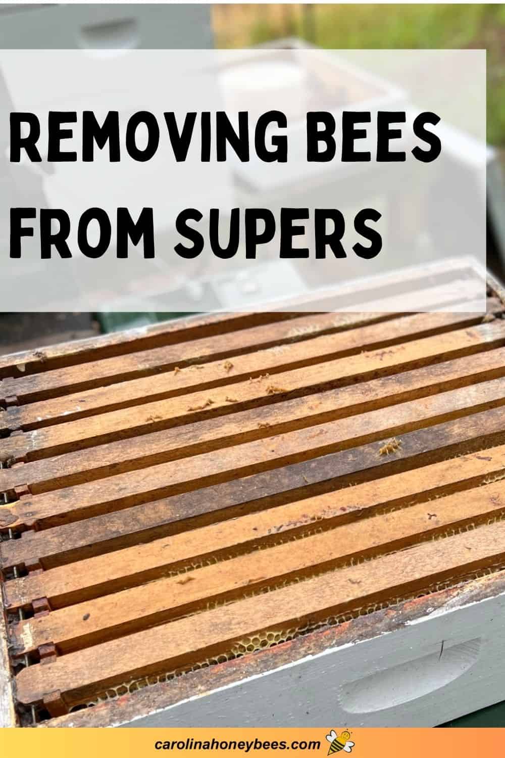How to Remove Bees from Honey Supers Carolina Honeybees