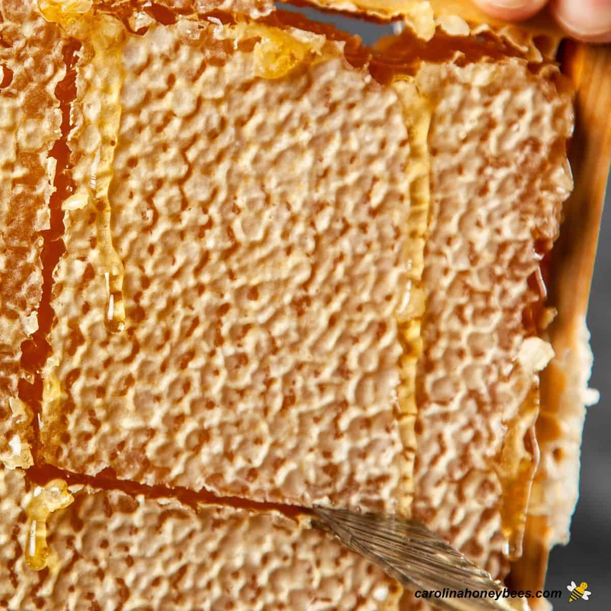 How to Store Carolina Honeybees