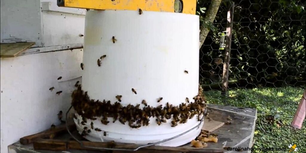 How to Make a Bucket Bee Feeder Carolina Honeybees