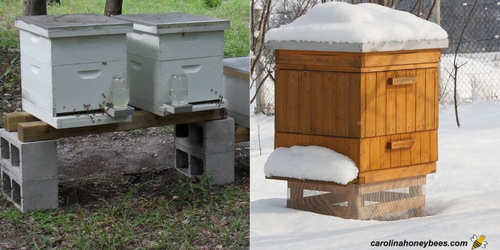 Beehive Stands How They Help Bees Beekeepers Carolina Honeybees