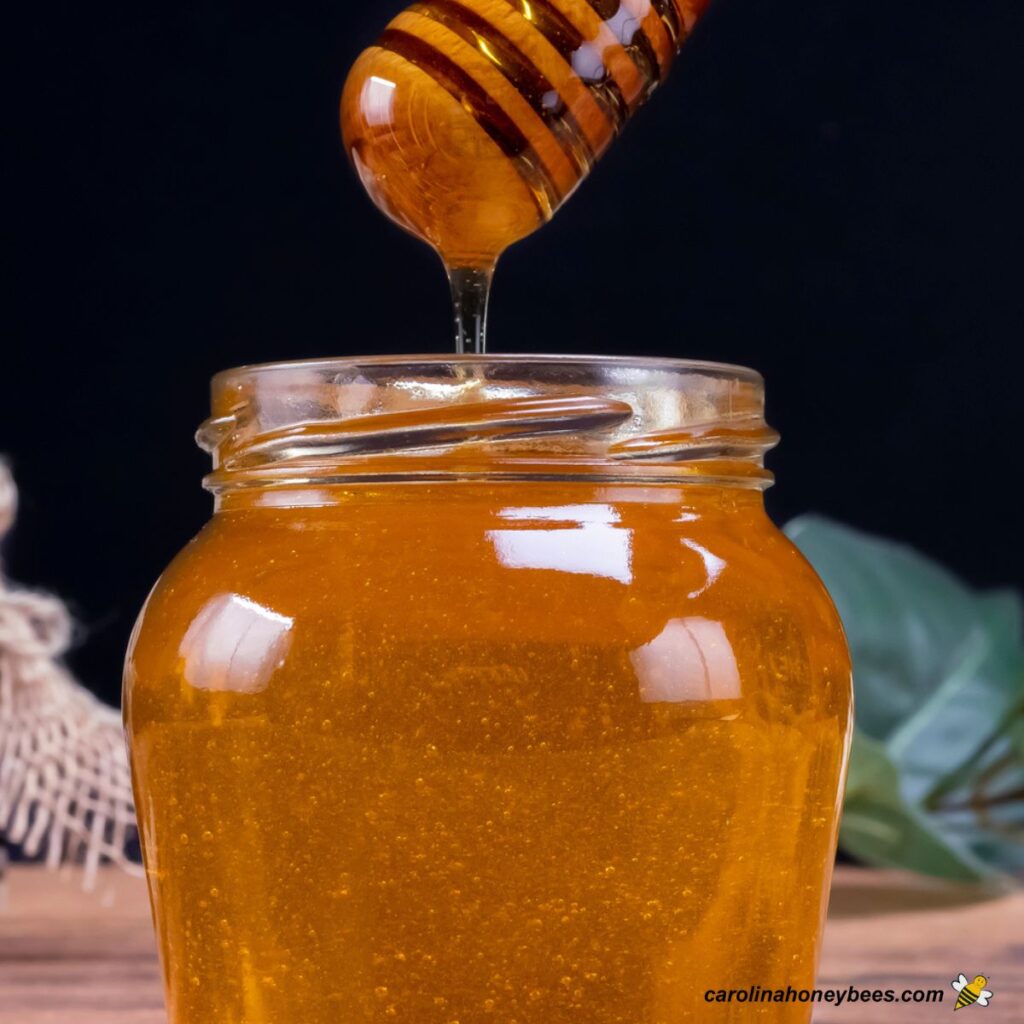 The Story of Honey Carolina Honeybees