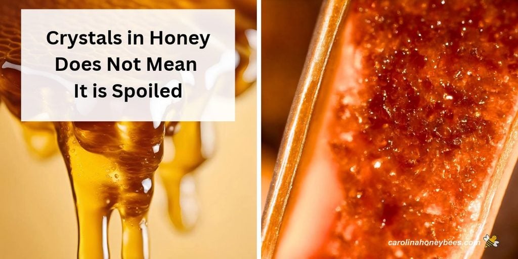 Sugar crystals in honey, text crystals  in honey does not mean it is spoiled.