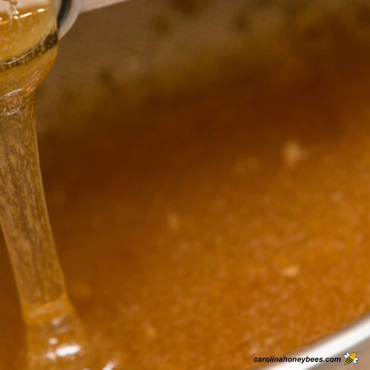 Filtering Honey for House Beekeepers