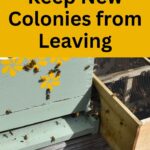 Stay Bundle Bees from Leaving the Hive