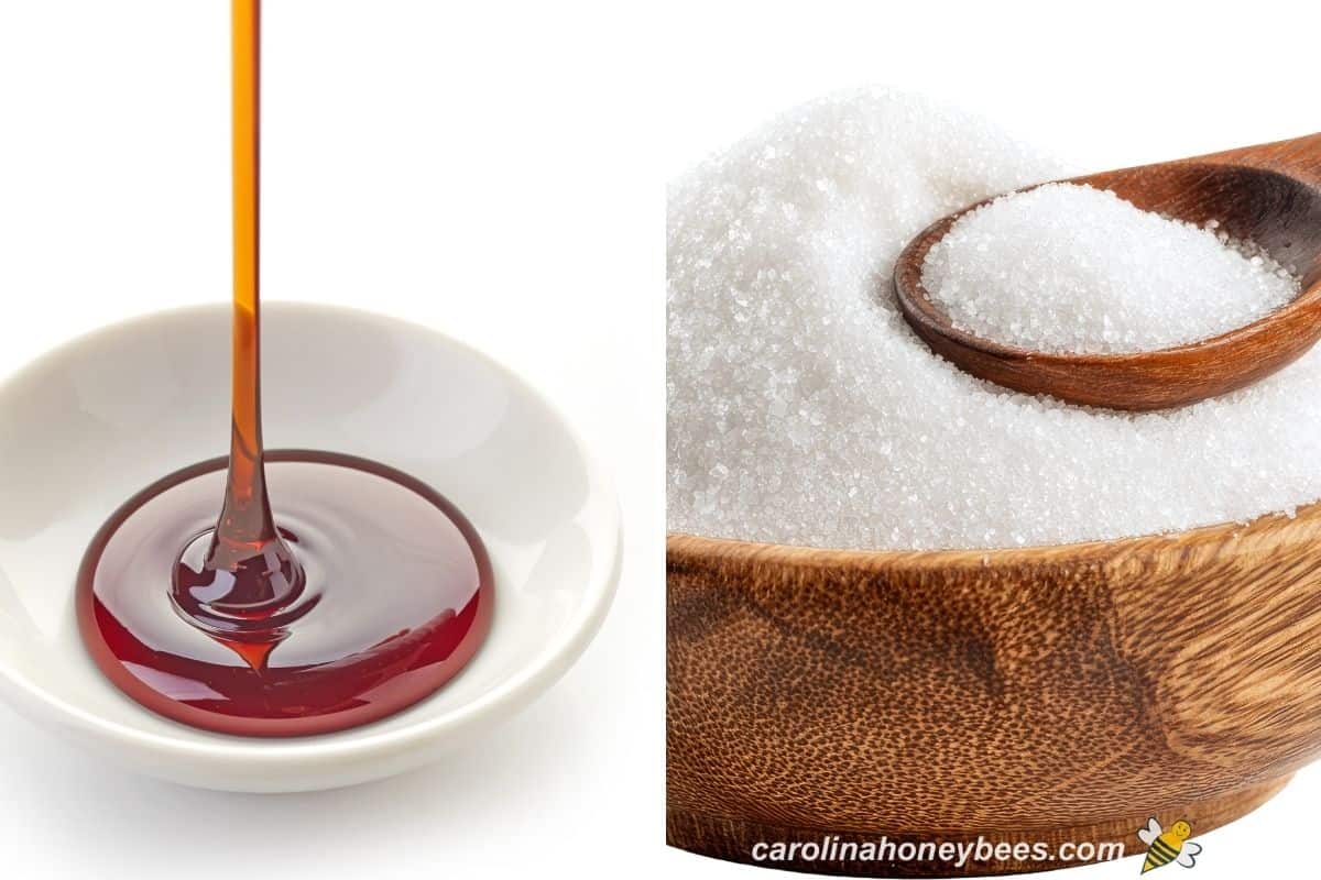 Serving of honey vs a spoon of white sugar.