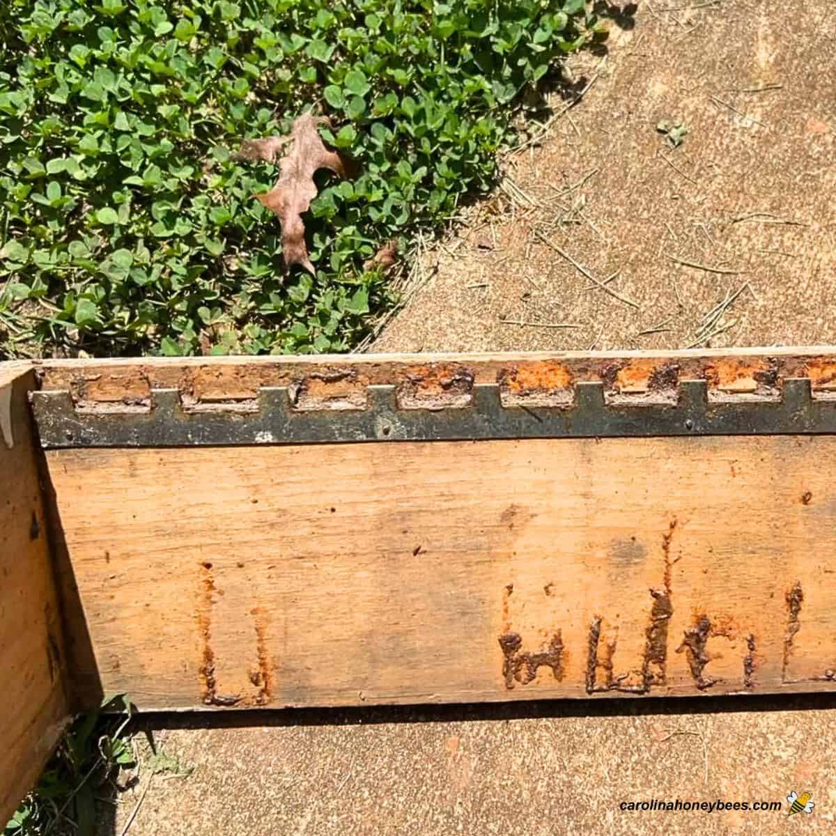 How to use Frame Spacers in Your Beehive Carolina Honeybees