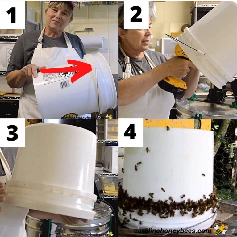How to Make a Bucket Bee Feeder - Carolina Honeybees