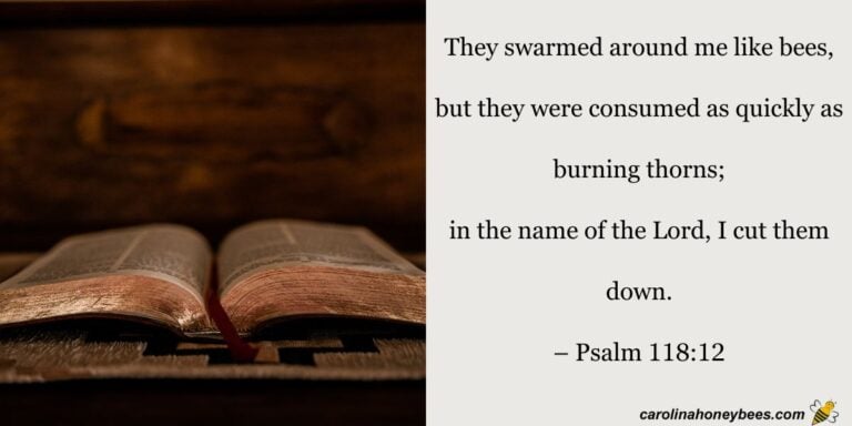 Bees in the Bible: Verses About Bees, Honey, and Meaning- Carolina ...