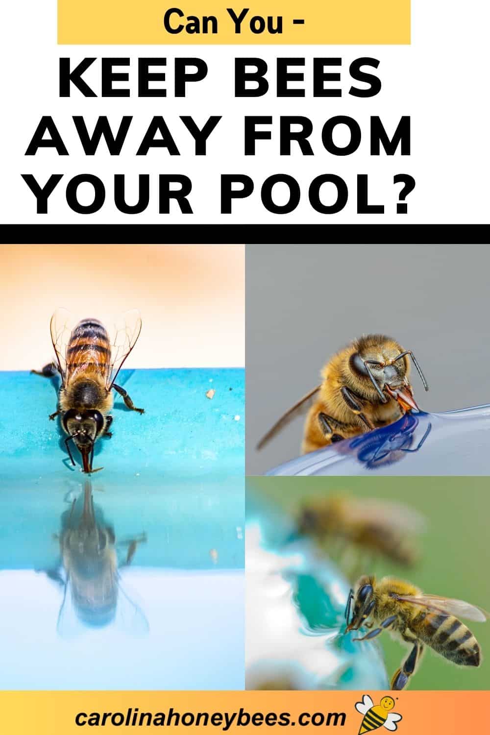 How to Keep Bees Away from Your Pool Carolina Honeybees