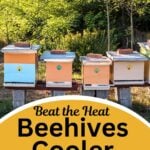 Pinterest Hidden Image