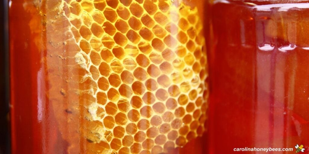 One large piece of comb in a jar of chunk honey.