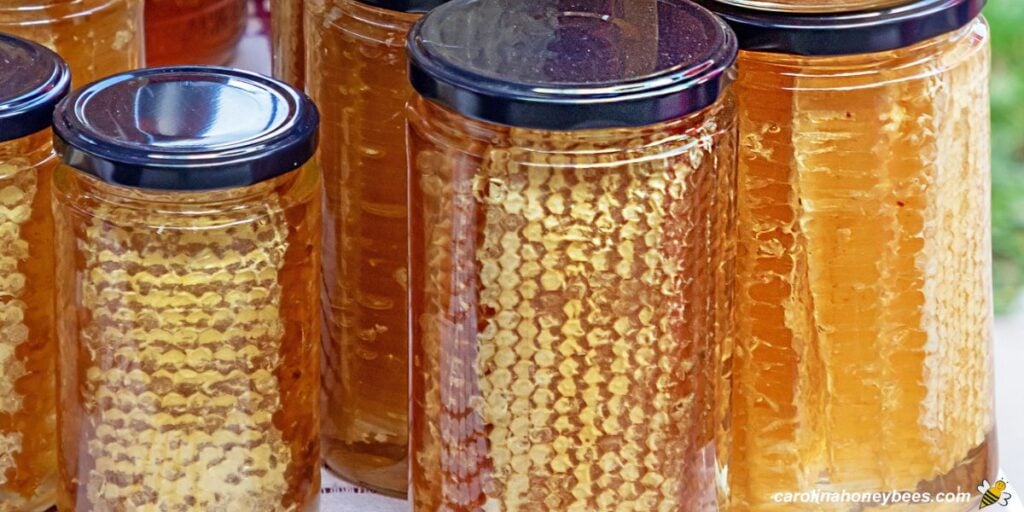 Various pieces of honey comb in a jar of honey.