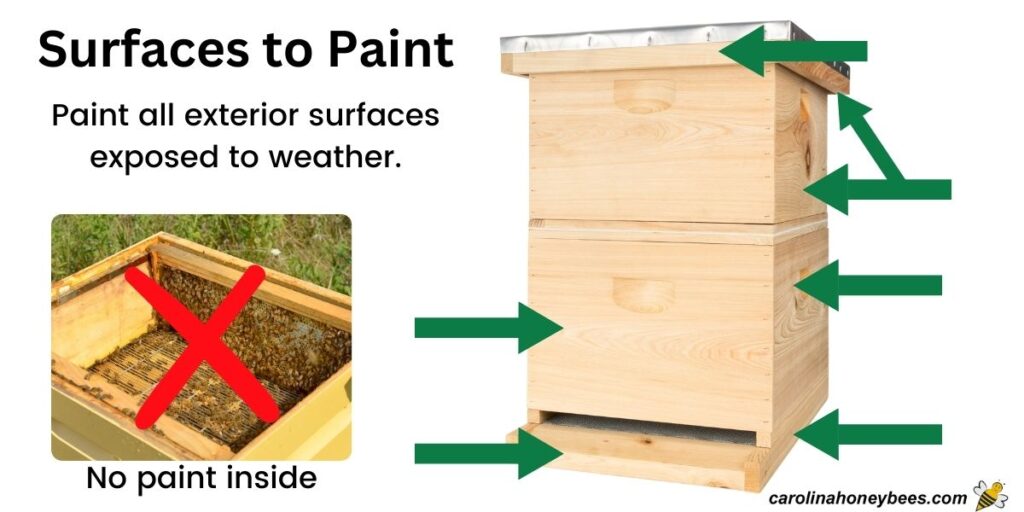 How to Paint a Beehive Step-by-Step- Carolina Honeybees