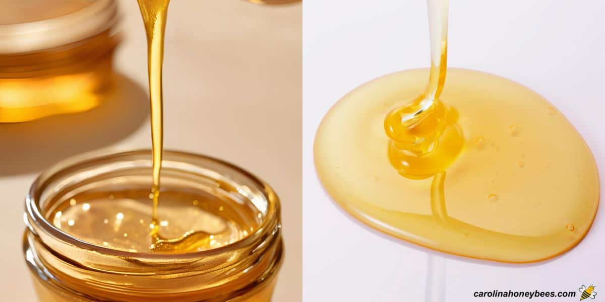 Light colored honey in jar and poured out on surface sourwood honey.