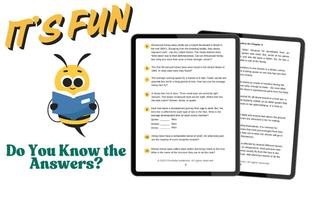 Questions Answers Every Beekeeper Should Know E Book Carolina Honeybees
