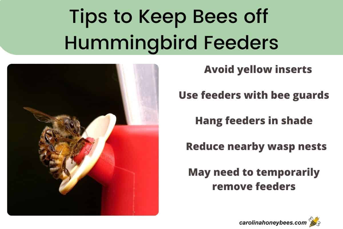 Chart with tips to keep bees off hummingbird feeders - image of bee and list of tips.