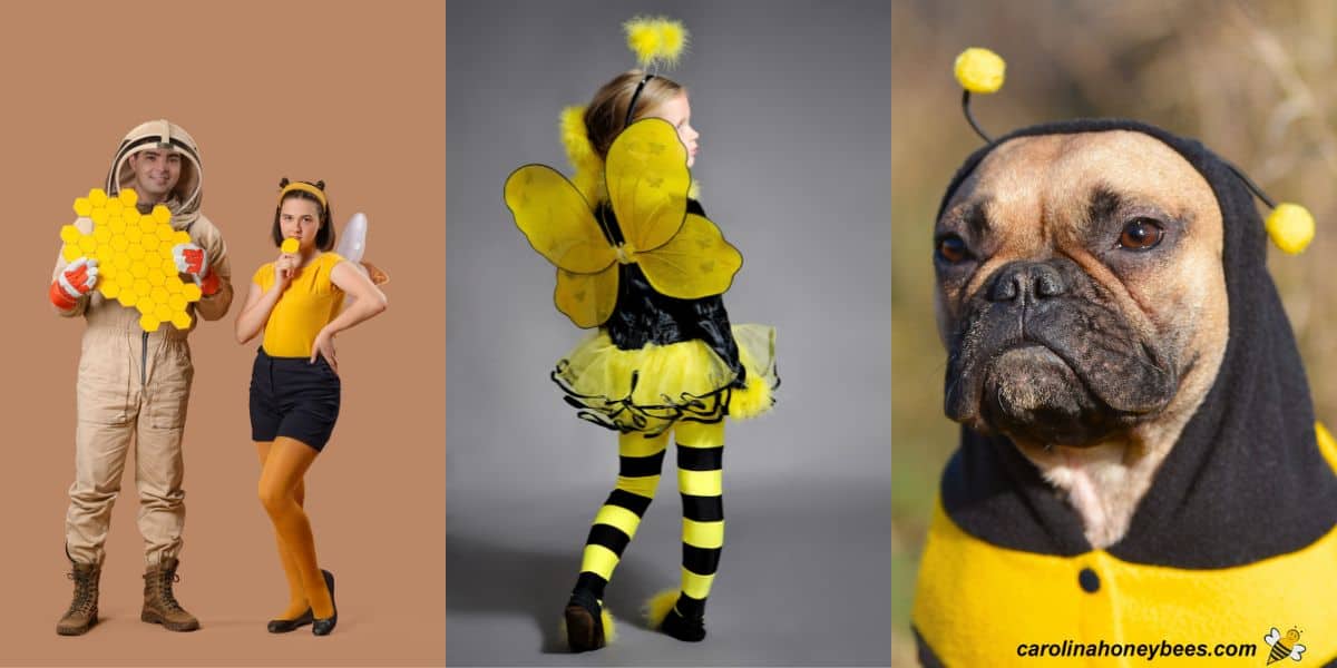 Collections of adults, kids and pets wearing bee costumes.