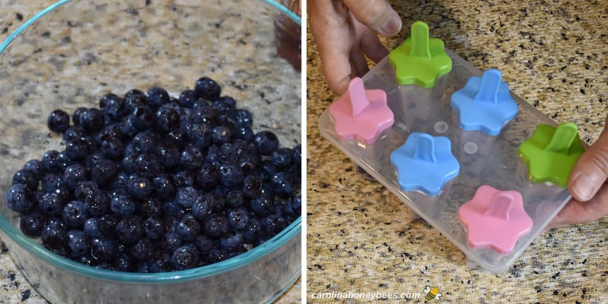 Fresh blue berries in a bowl and plastic popsicle tray.