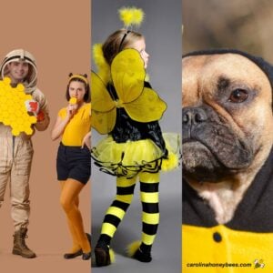 Multiple bee themed costumes for adults, kids and dogs.