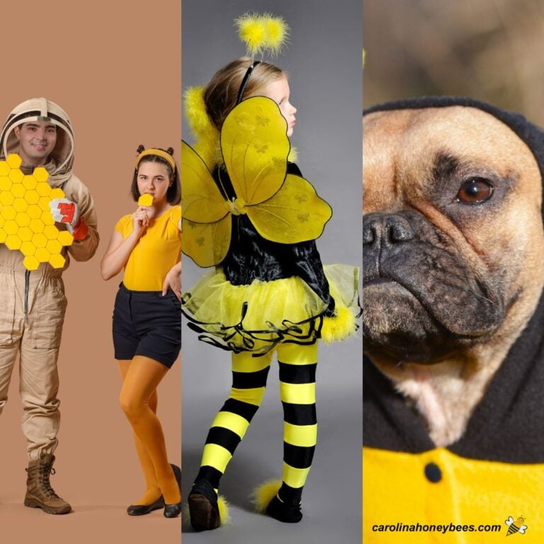 Multiple bee themed costumes for adults, kids and dogs.