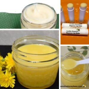 Body care herbal salves and balms in small containers.