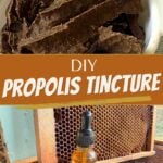 Pinterest Hidden Image