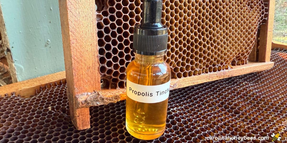 Small glass bottle of propolis tincture sitting on a frame of honeycomb.