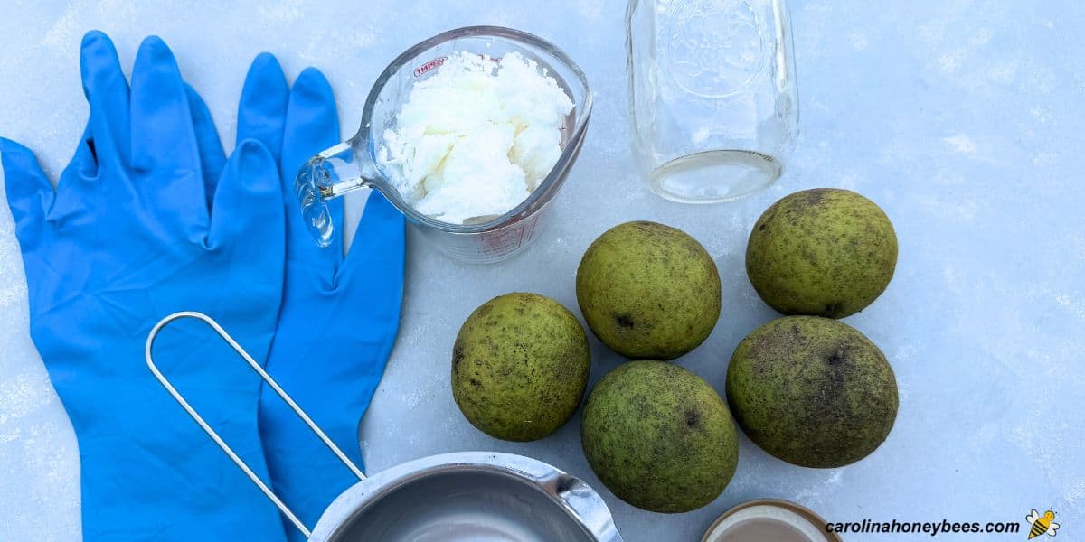 Gloves, coconut oil, green black walnuts and other supplies needed to infuse oil.