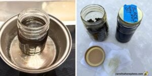 Warming oils in water bath and straining out solids.