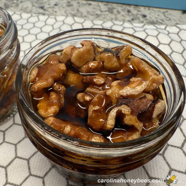 Toasted walnuts covered with raw honey in a glass jar.