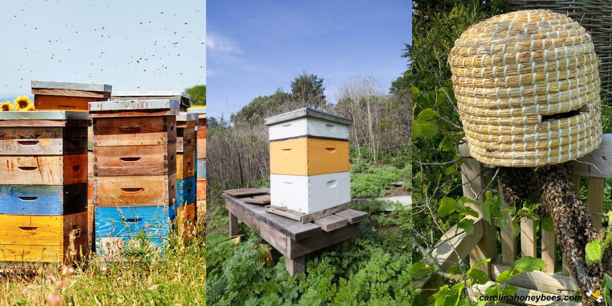 Beehives and skep used by honey bees to live in.