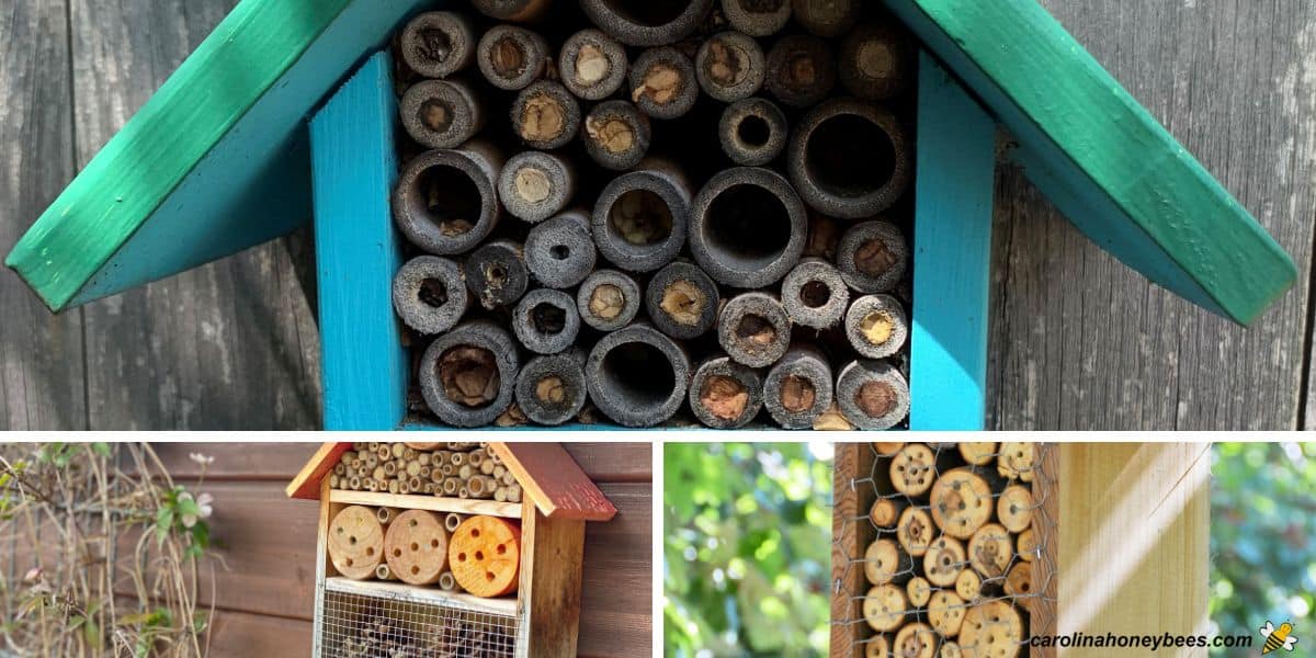 Ideas for diy wooden bee houses for mason bees with tubes or holes in wood.