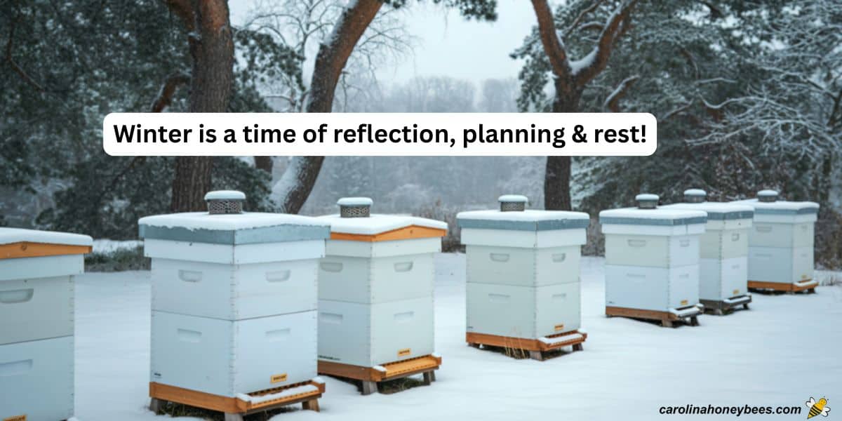 Beehive apiary in snow, text winter is a time of reflection, planning and rest.