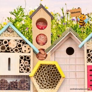 Wooden bee houses and hotels.